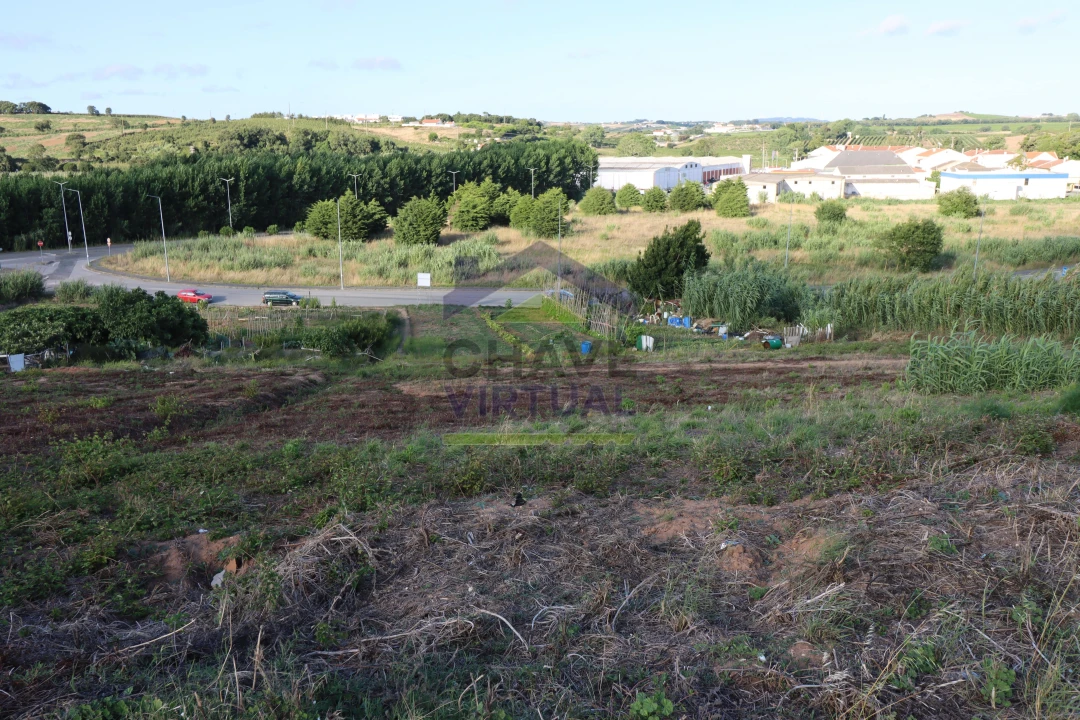 Terreno para Venda em Bombarral e Vale Covo Foto 5