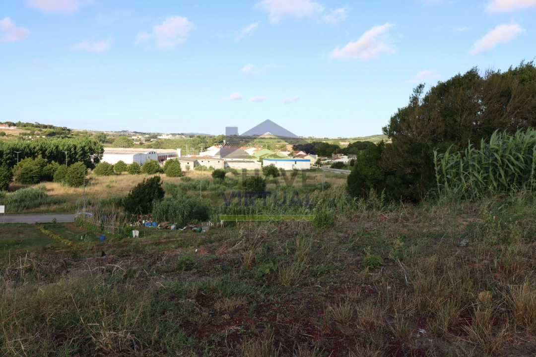 Terreno para Venda em Bombarral e Vale Covo Foto 4