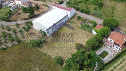 Terreno para Venda em Roliça