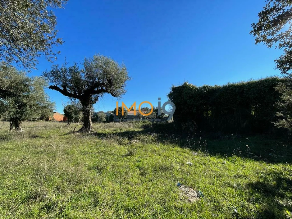 Quinta T0 para Venda em Fatima Foto 10