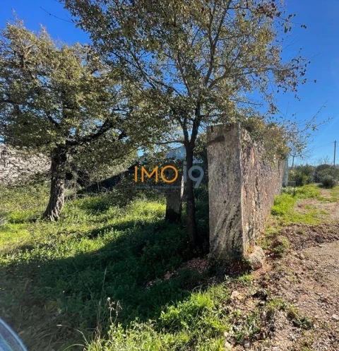 Quinta T0 para Venda em Fatima