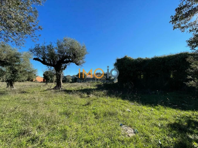 Quinta T0 para Venda em Fatima Foto 10