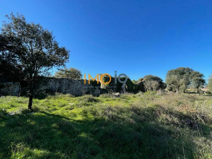 Quinta T0 para Venda em Fatima Foto 14