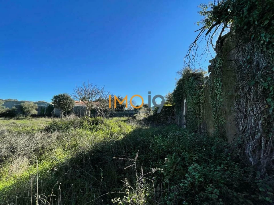 Quinta T0 para Venda em Fatima Foto 11