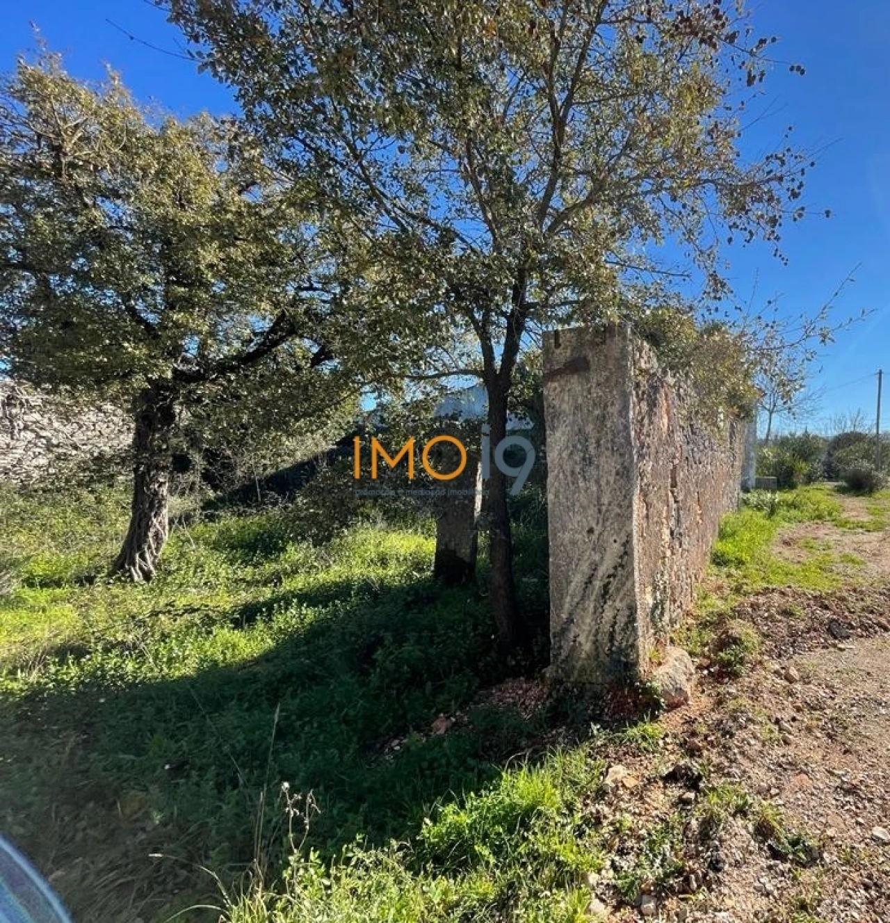 Quinta T0 para Venda em Fatima Foto 4