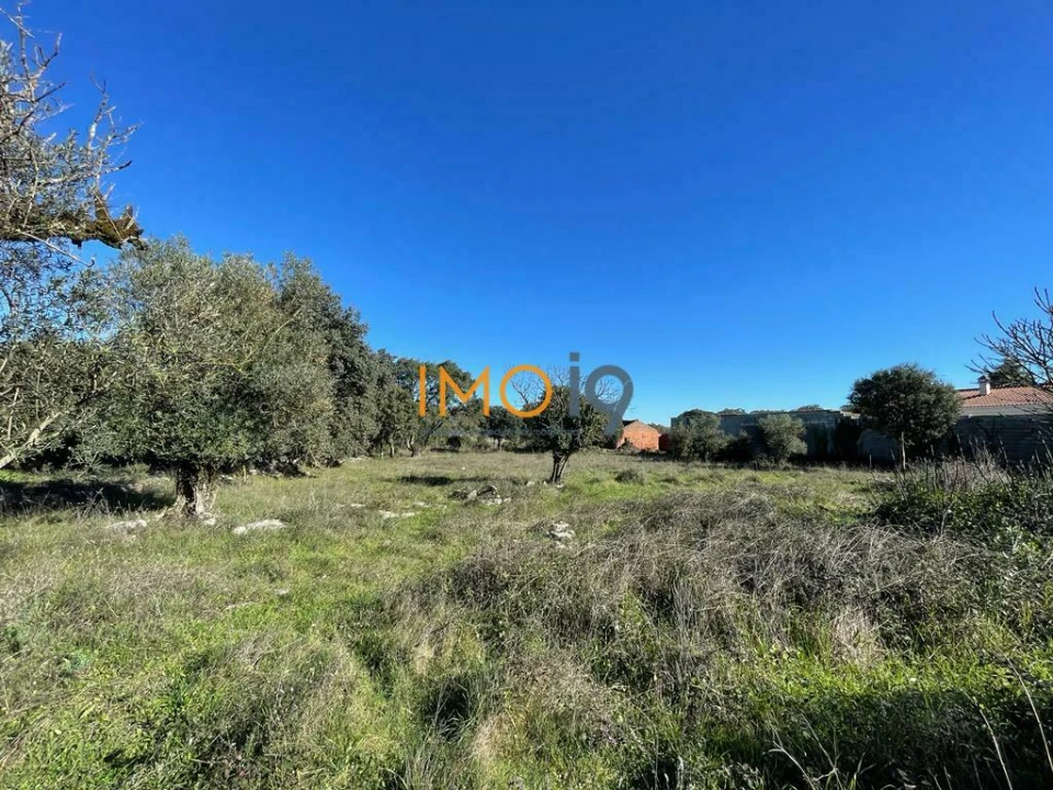 Quinta T0 para Venda em Fatima Foto 12