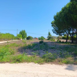 Terreno para Venda em Coruche, Fajarda e Erra