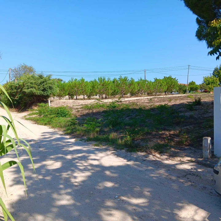 Terreno para Venda em Coruche, Fajarda e Erra Foto 2