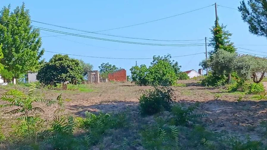 Terreno para Venda em Coruche, Fajarda e Erra