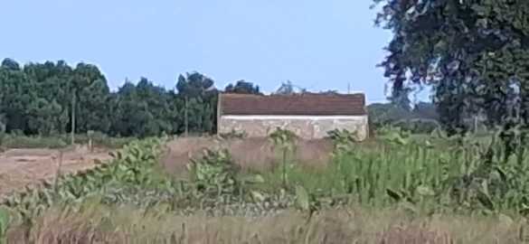 Terreno para Venda em Marinhais