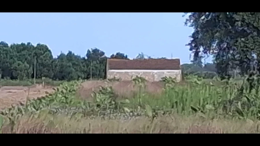 Terreno para Venda em Marinhais