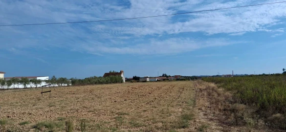 Terreno para Venda em Alpiarça