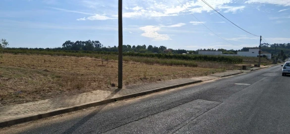 Terreno para Venda em Alpiarça