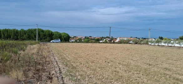 Terreno para Venda em Alpiarça