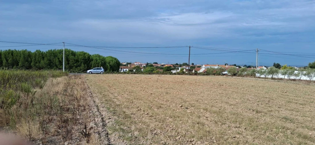 Terreno para Venda em Alpiarça Foto 4