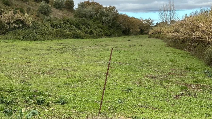 Terreno para Venda em Achete, Azoia de Baixo e Póvoa de Santarém