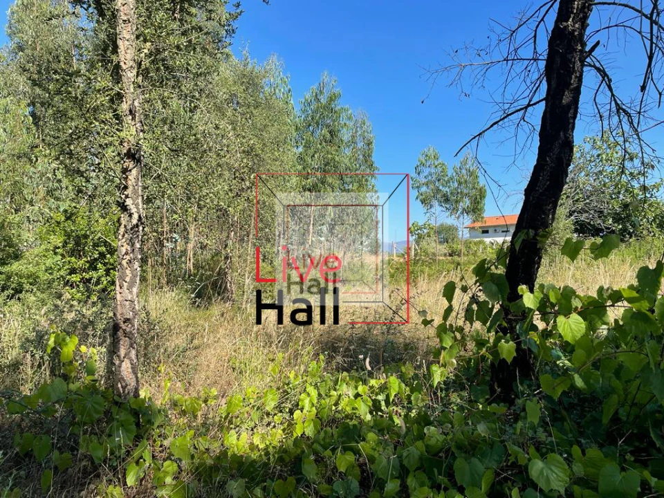 Terreno para Venda em São João da Boa Vista Foto 15