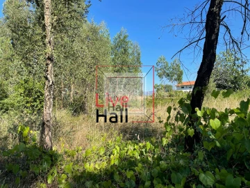 Terreno para Venda em São João da Boa Vista