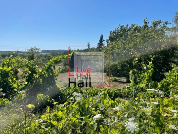 Terreno para Venda em São João da Boa Vista