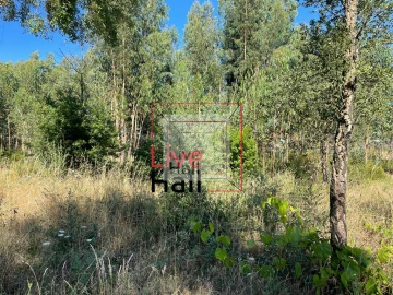 Terreno para Venda em São João da Boa Vista