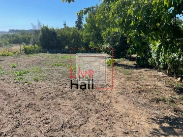 Terreno para Venda em São João da Boa Vista