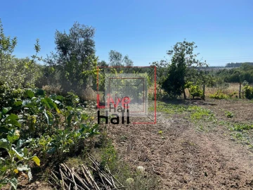 Terreno para Venda em São João da Boa Vista