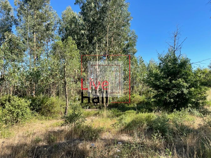 Terreno para Venda em São João da Boa Vista Foto 20