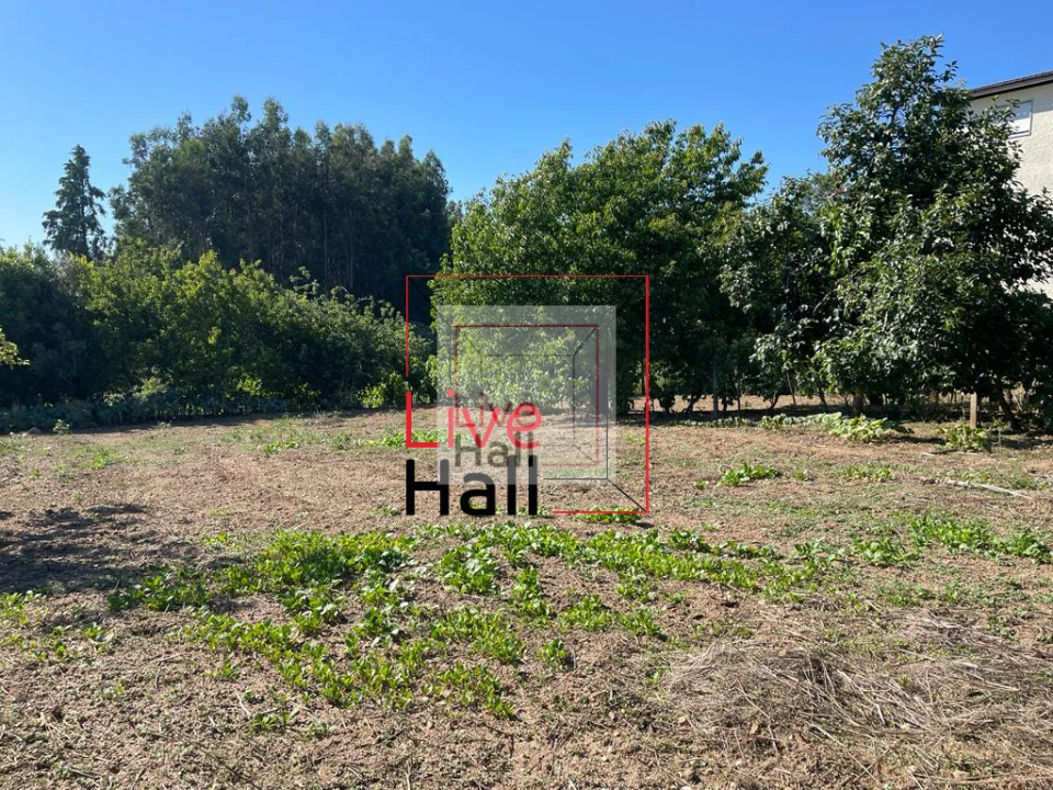 Terreno para Venda em São João da Boa Vista Foto 11