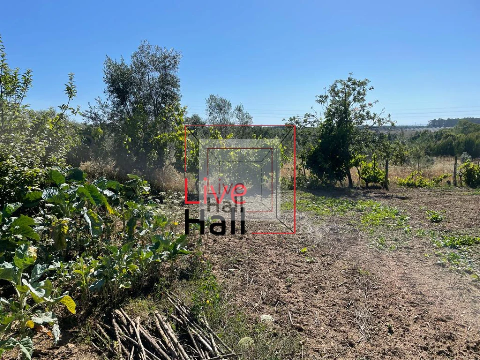 Terreno para Venda em São João da Boa Vista Foto 9