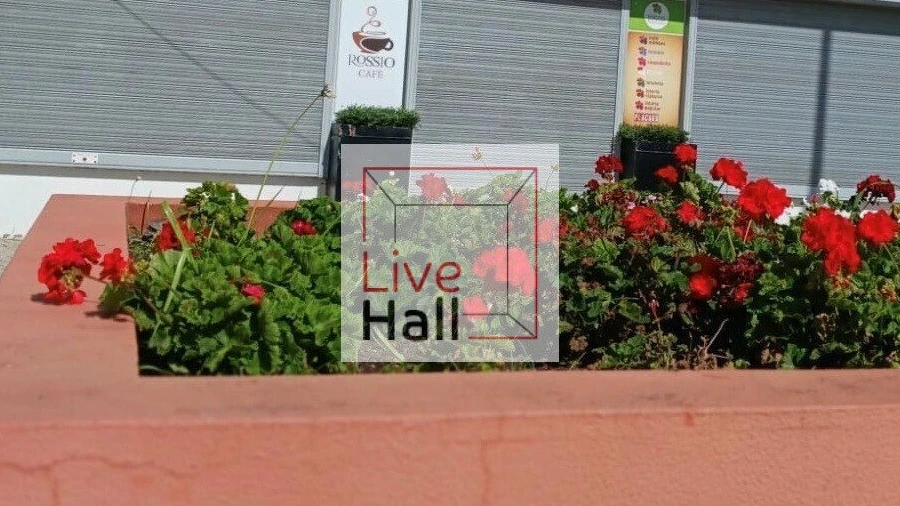 Negócio para Venda em Palhais e Coina