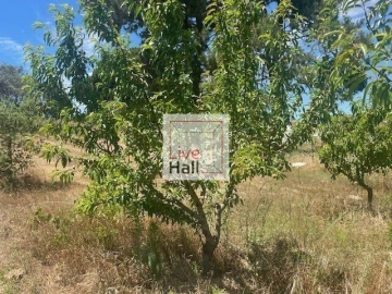 Terreno para Venda em Coruche, Fajarda e Erra