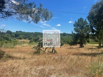 Terreno para Venda em Coruche, Fajarda e Erra