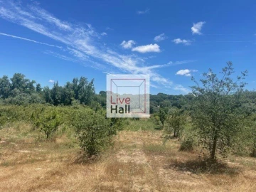 Terreno para Venda em Coruche, Fajarda e Erra