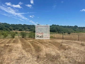 Terreno para Venda em Coruche, Fajarda e Erra