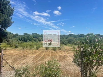 Terreno para Venda em Coruche, Fajarda e Erra