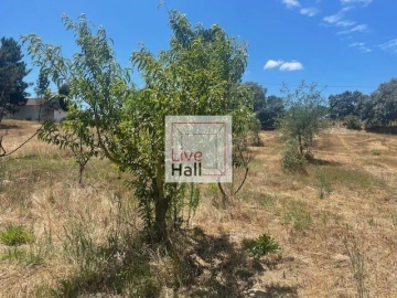 Terreno para Venda em Coruche, Fajarda e Erra