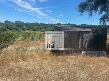 Terreno para Venda em Coruche, Fajarda e Erra