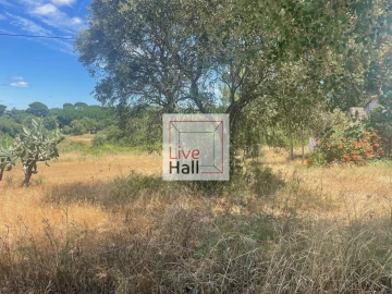 Terreno para Venda em Coruche, Fajarda e Erra