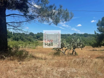 Terreno para Venda em Coruche, Fajarda e Erra