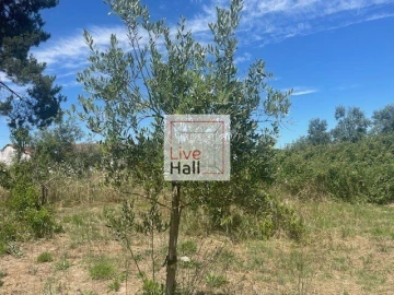 Terreno para Venda em Coruche, Fajarda e Erra