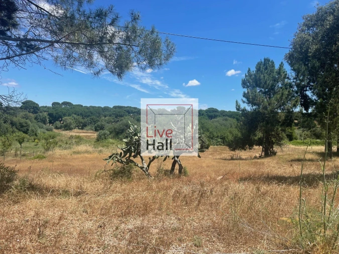 Terreno para Venda em Coruche, Fajarda e Erra Foto 6