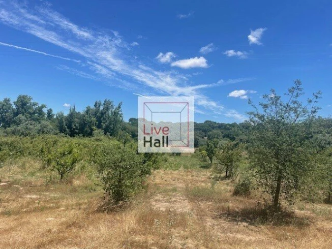 Terreno para Venda em Coruche, Fajarda e Erra Foto 18