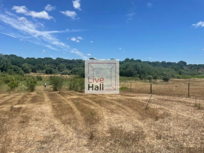 Terreno para Venda em Coruche, Fajarda e Erra Foto 17