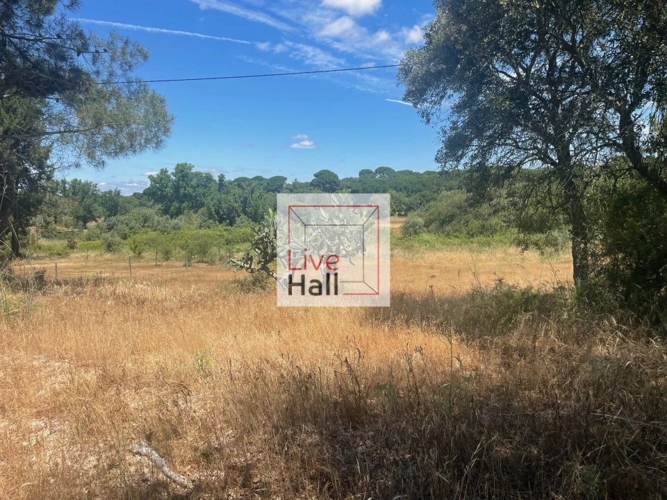Terreno para Venda em Coruche, Fajarda e Erra Foto 5