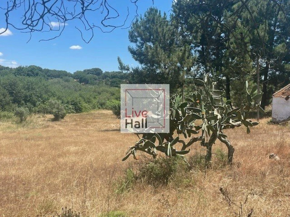 Terreno para Venda em Coruche, Fajarda e Erra Foto 9