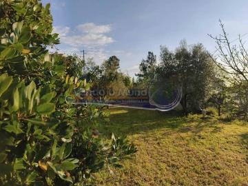 Terreno para Venda em Marinhais