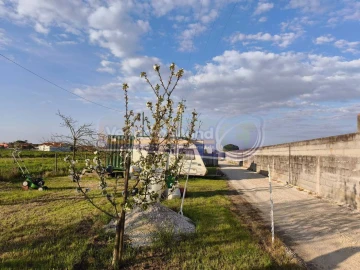 Terreno para Venda em Marinhais