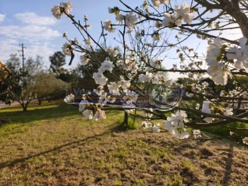 Terreno para Venda em Marinhais