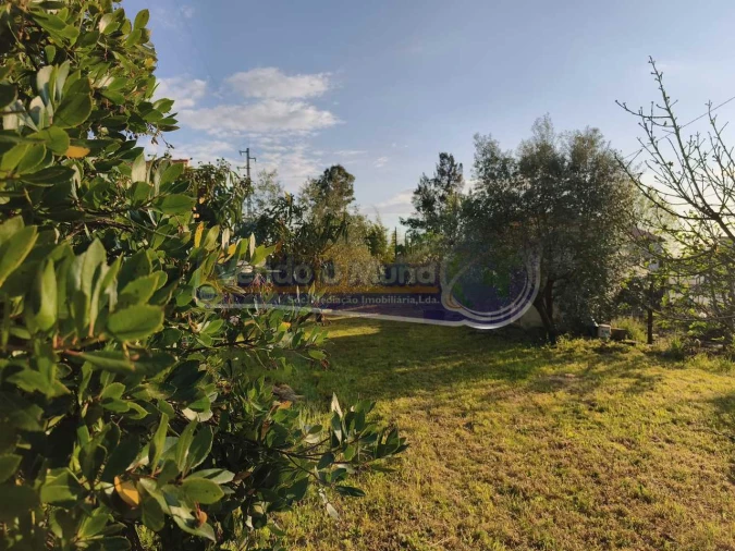 Terreno para Venda em Marinhais Foto 5