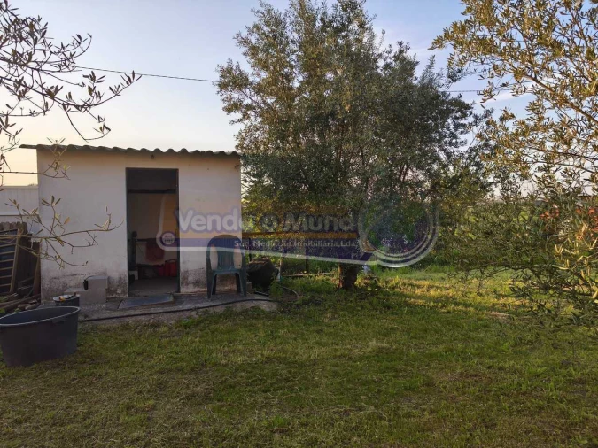 Terreno para Venda em Marinhais Foto 2